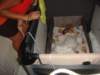 dsc01919_small.jpg