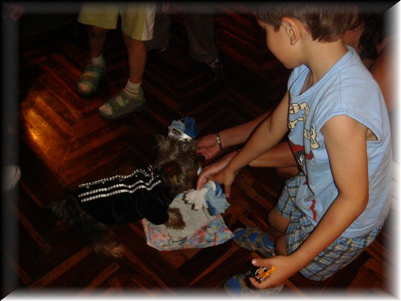 DSC01207