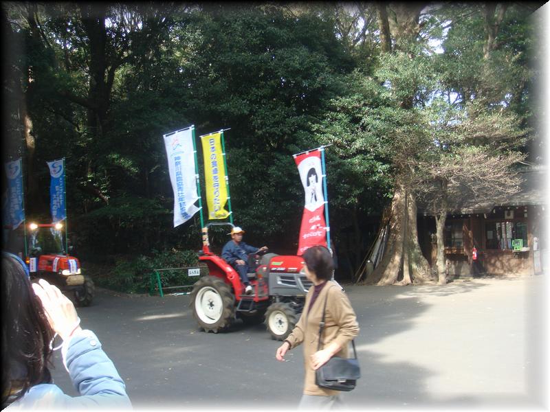 DSC00334