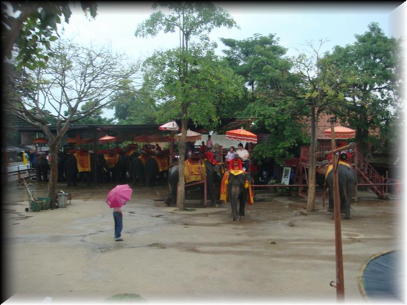 DSC00390