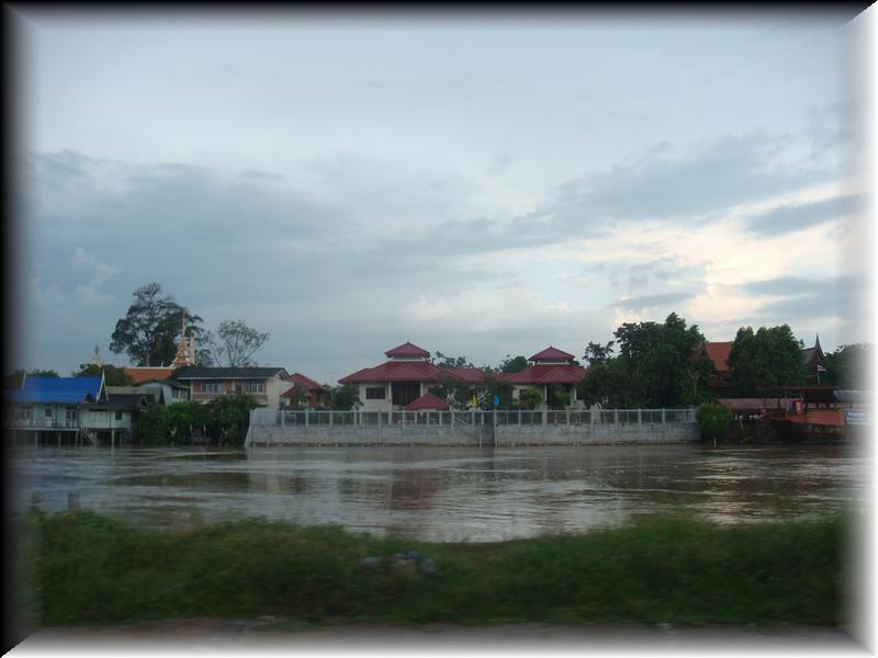 DSC00429
