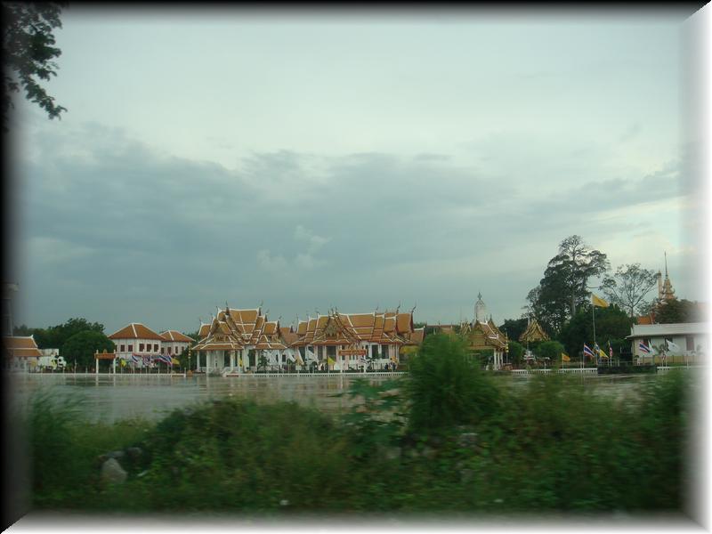 DSC00430