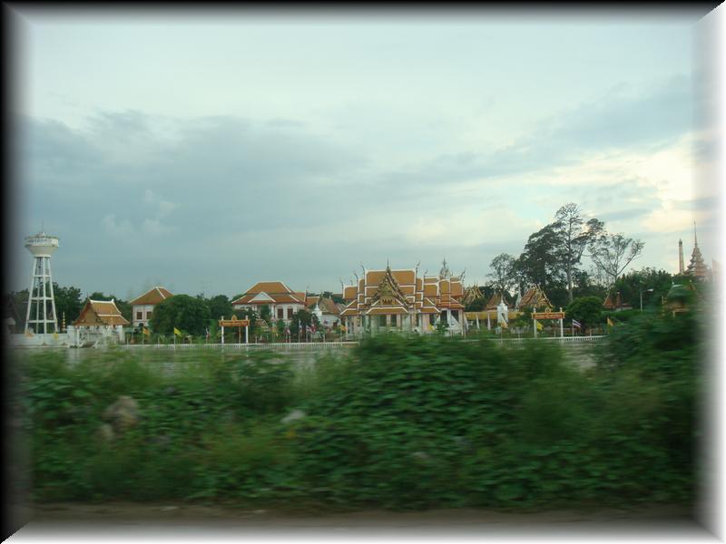 DSC00431