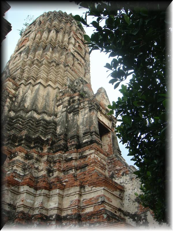 DSC00447
