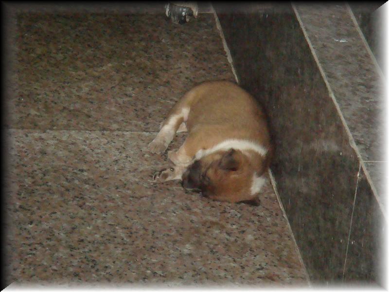 DSC00500