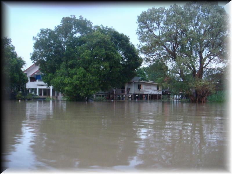 DSC00520