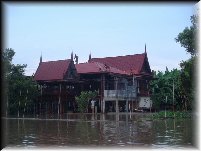 DSC00521