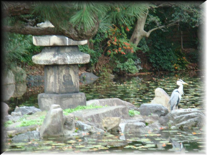 DSC00679