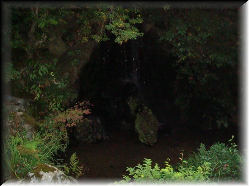 DSC00693