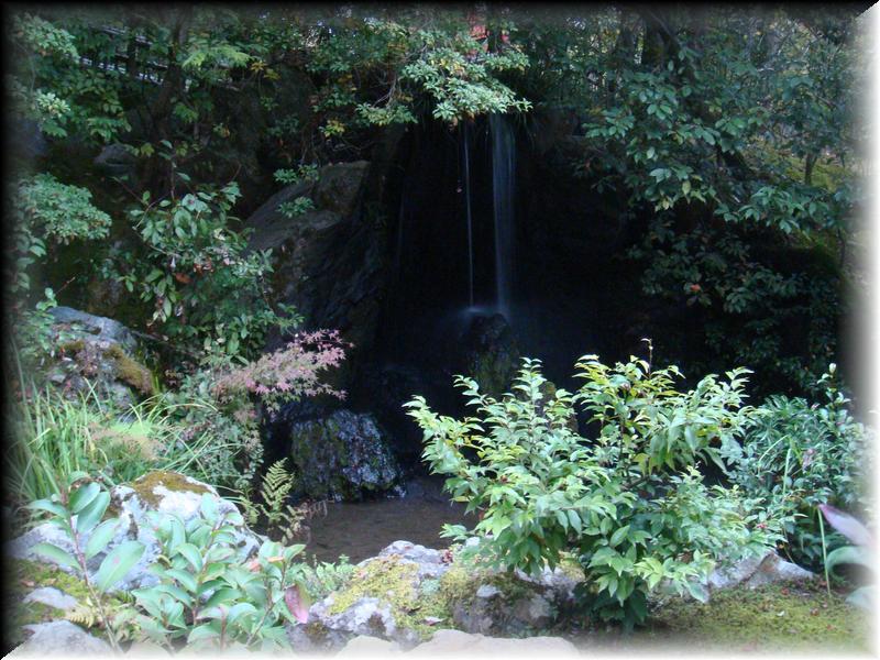DSC00694