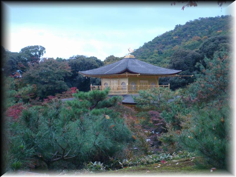 DSC00695