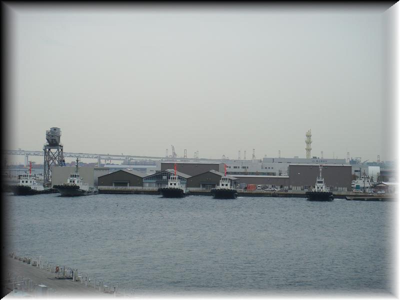 DSC00766