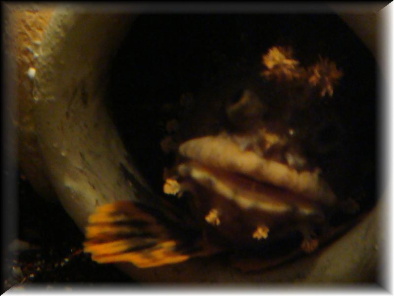 DSC00812