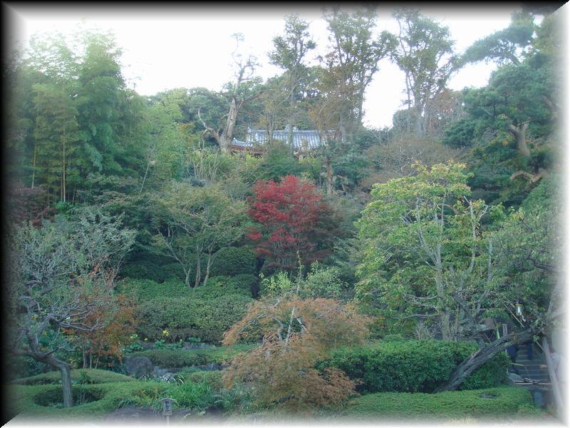 DSC00859