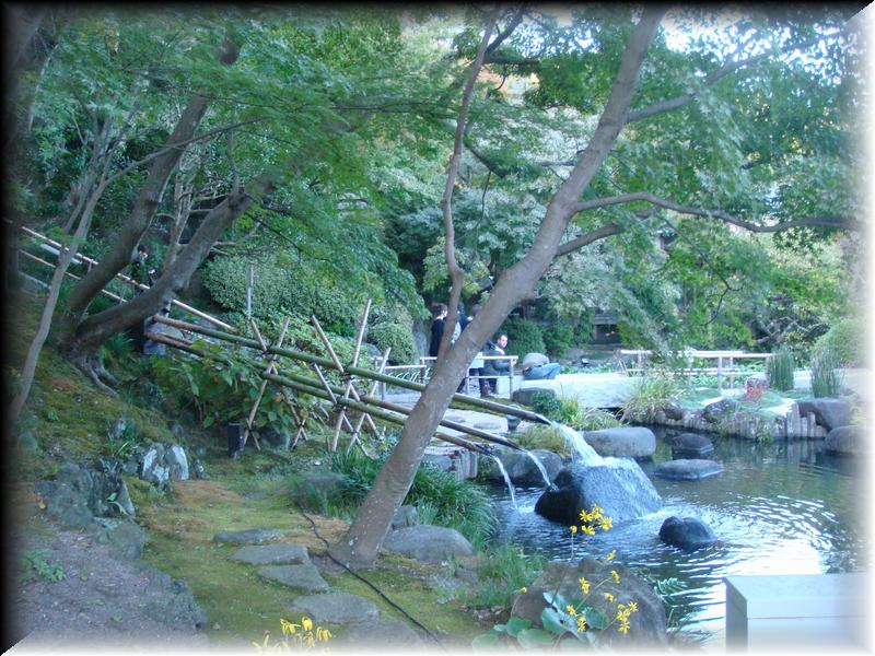 DSC00864