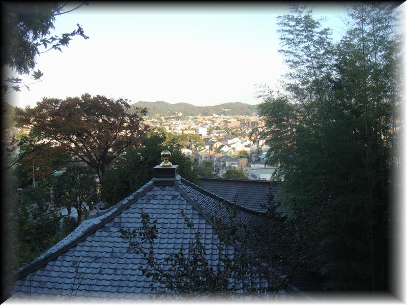 DSC00872