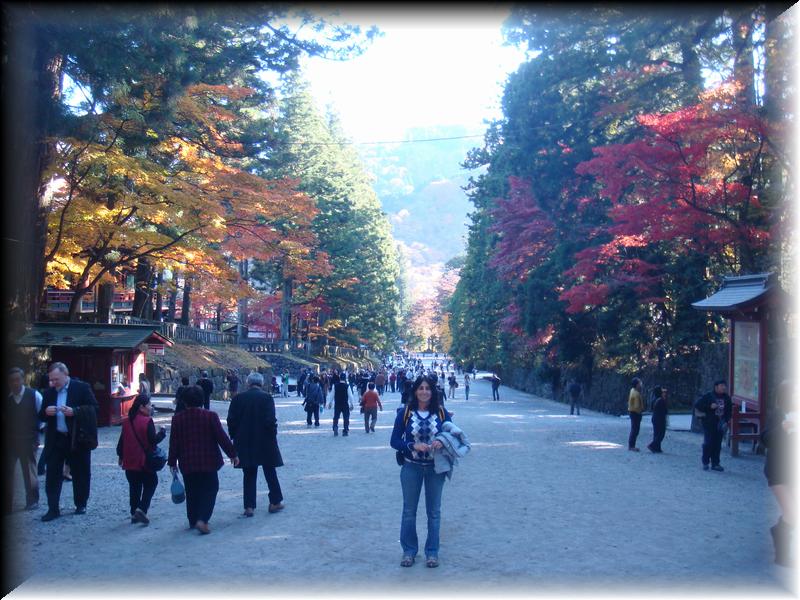 DSC00931