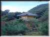 DSC00695