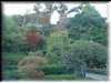 DSC00860