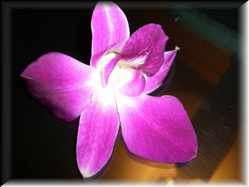 CIMG0080