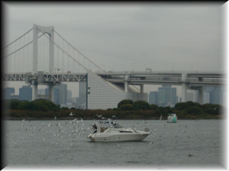 CIMG0427