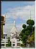 CIMG0382