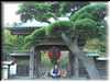 CIMG0568