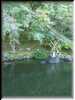 CIMG0572