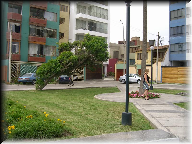 CIMG0791