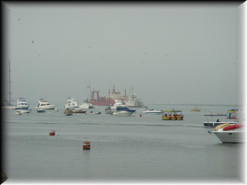 DSC01193