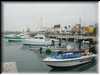 DSC01080