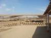 dsc01862_small.jpg