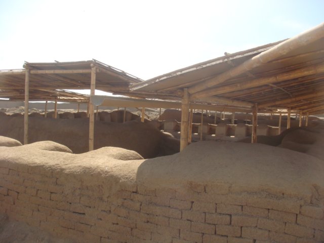 dsc01878.jpg