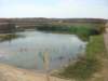 dsc01880_small.jpg