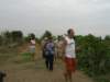 cimg2493_small.jpg