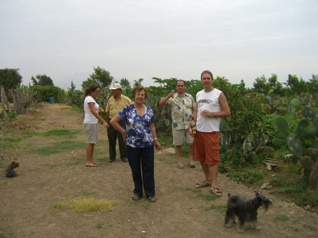 cimg2494.jpg